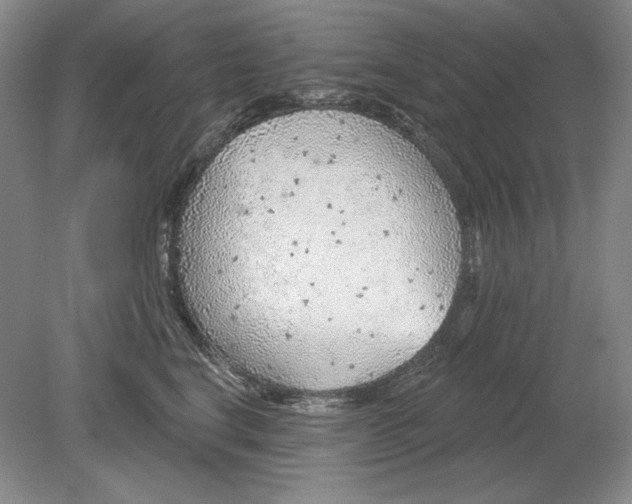 X0000079290664200612011725