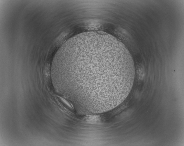 X0000079290665200612011725