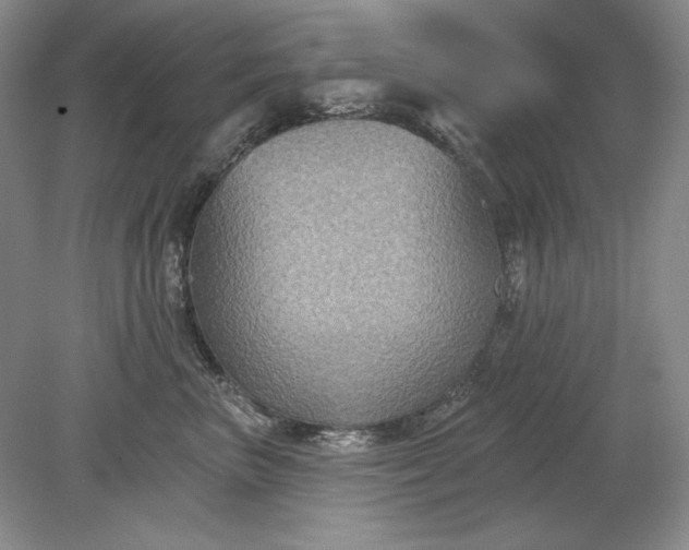 X0000079290667200612011725