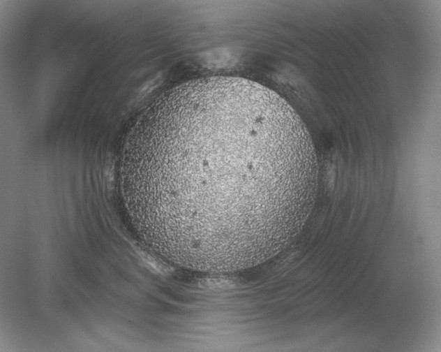 X0000079290668200612011725