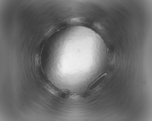 X0000079290669200612011725