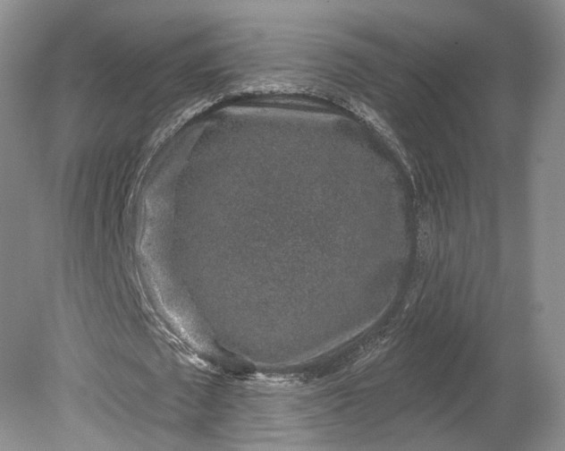 X0000079290673200612011725