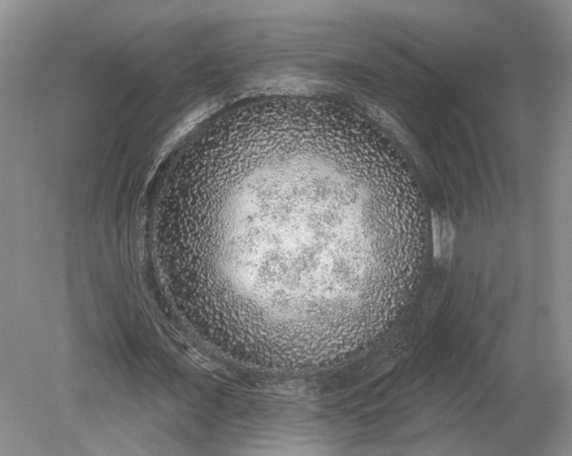 X0000079290675200612011725