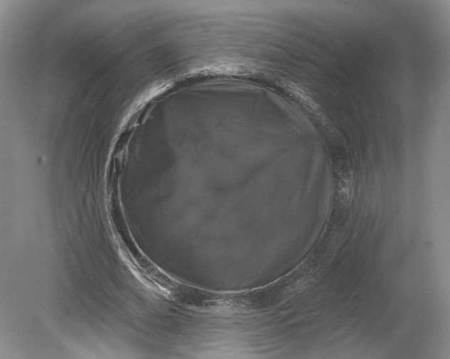 X0000079290678200612011724