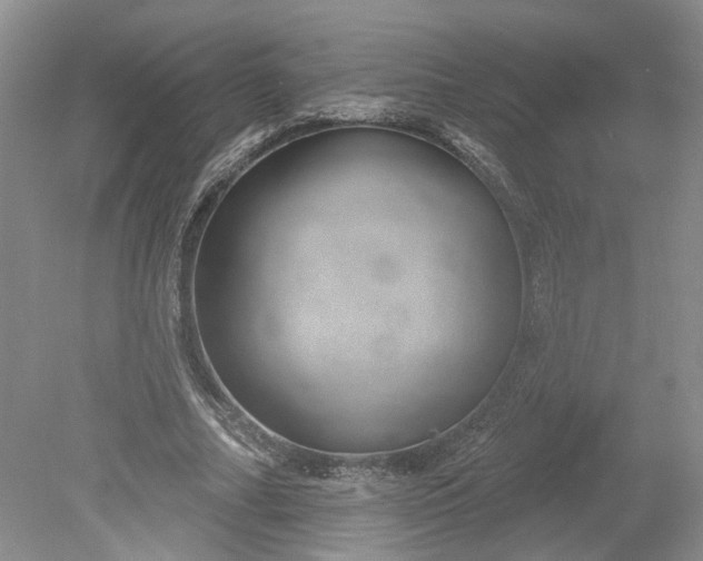 X0000079290682200612011724