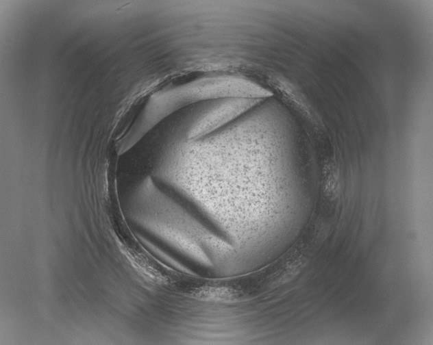 X0000079290685200612011724