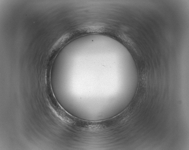 X0000079290686200612011724