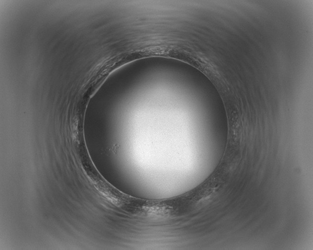 X0000079290693200612011724