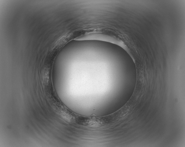 X0000079290697200612011724
