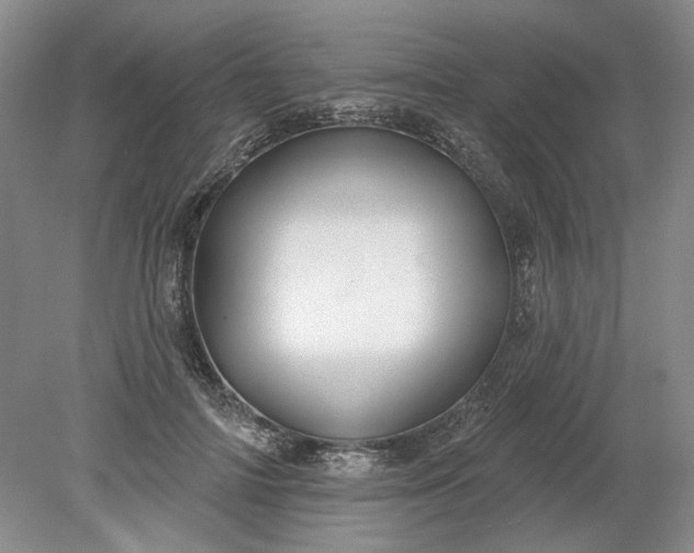 X0000079290698200612011724