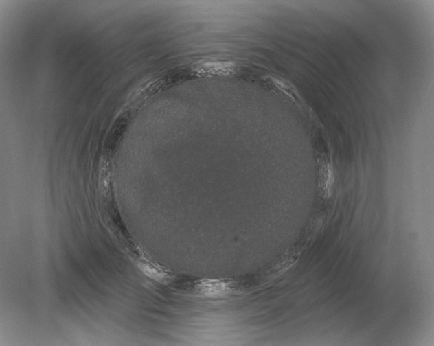 X0000079290701200612011724