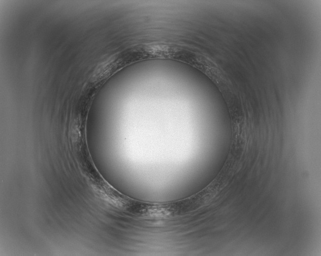 X0000079290702200612011724