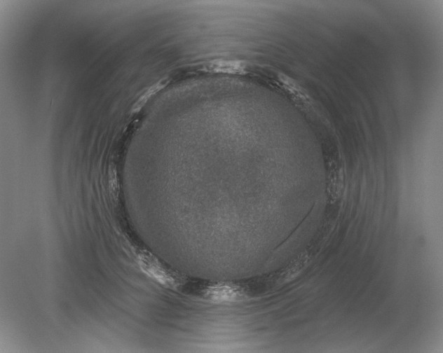X0000079290704200612011724