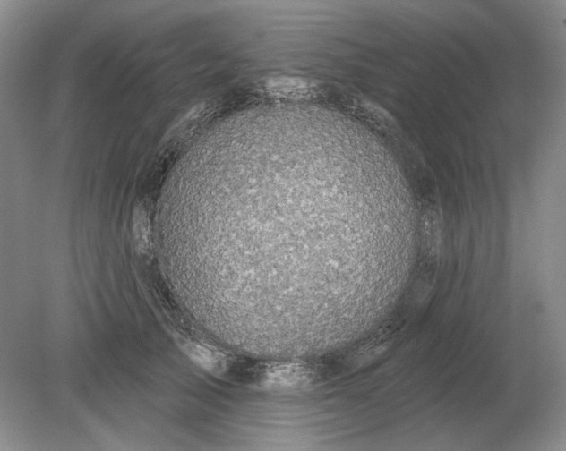 X0000079290705200612011724