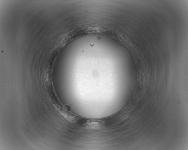 X0000079290706200612011724