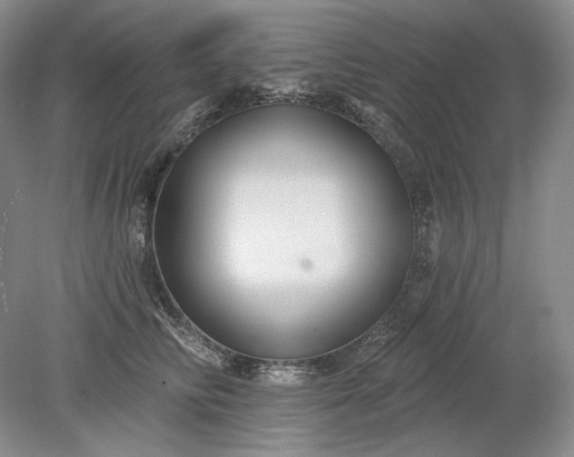 X0000079290710200612011724