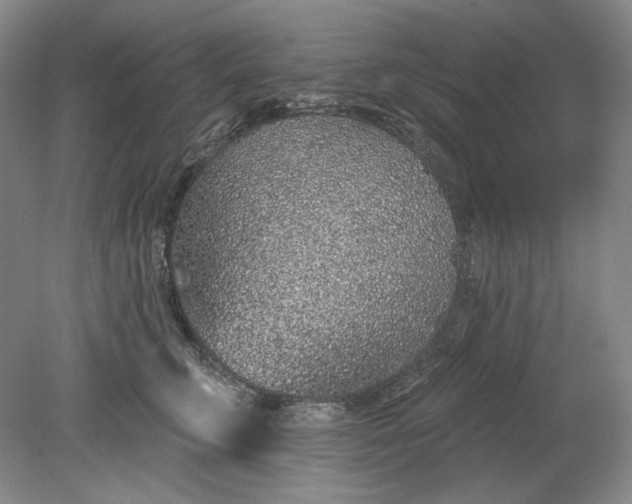 X0000079290711200612011724