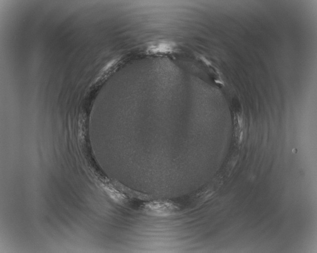 X0000079290712200612011724