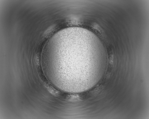 X0000079290715200612011724