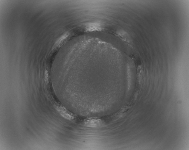 X0000079290716200612011724