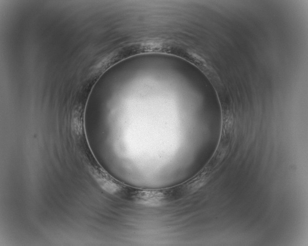 X0000079290719200612011724