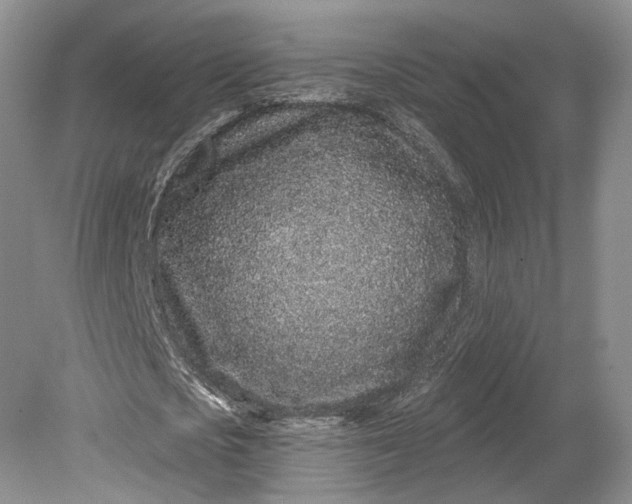 X0000079290721200612011723