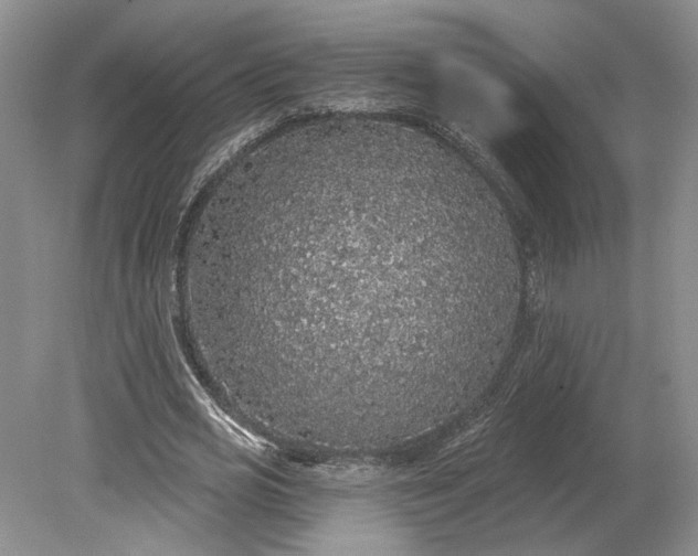 X0000079290725200612011723
