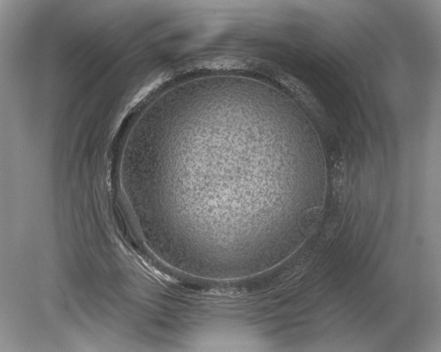 X0000079290727200612011723