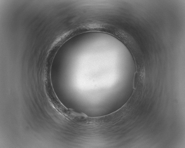 X0000079290732200612011723
