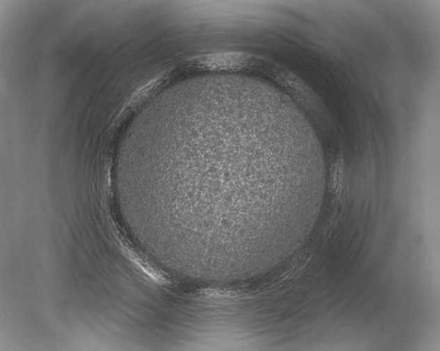 X0000079290733200612011723