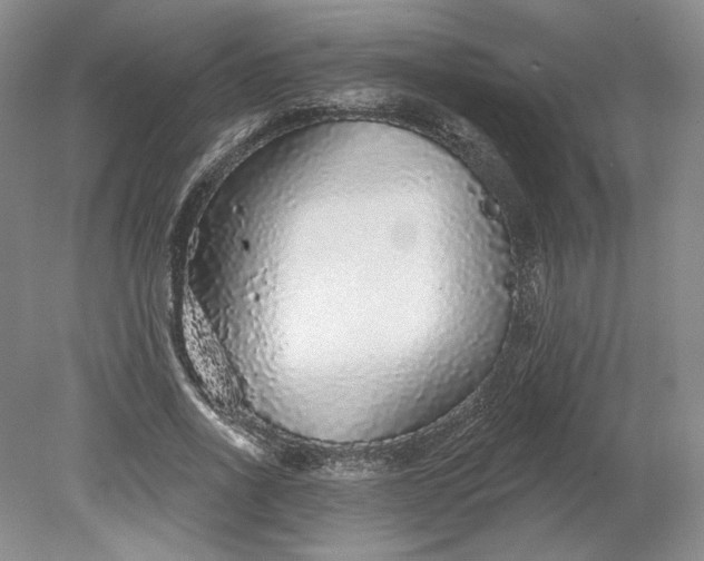 X0000079290734200612011723