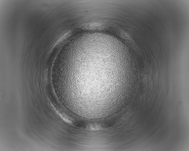 X0000079290735200612011723