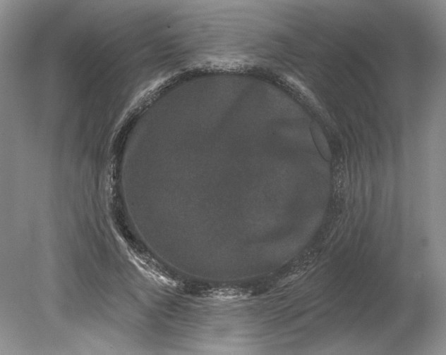 X0000079290736200612011723