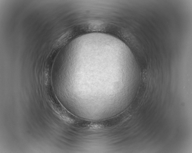 X0000079290741200612011723