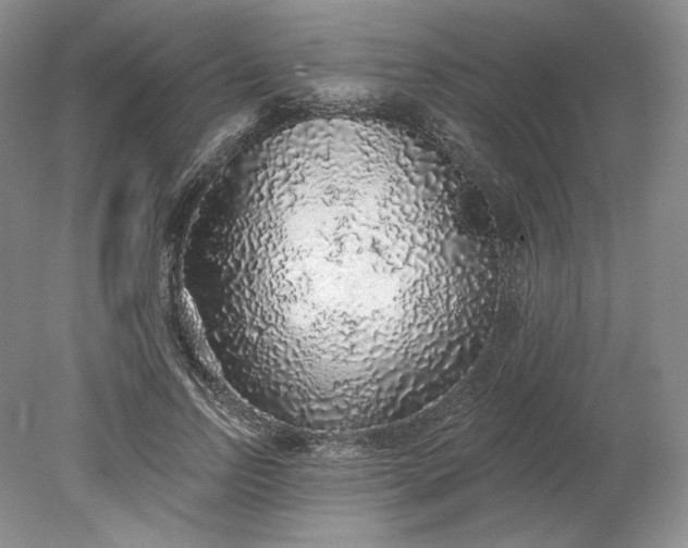 X0000079290742200612011723