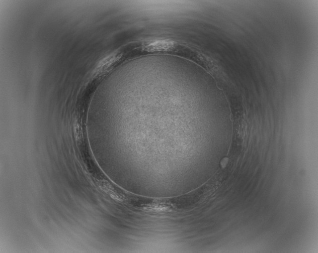 X0000079290743200612011723
