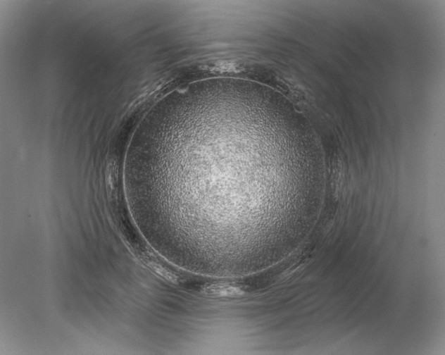 X0000079290747200612011723