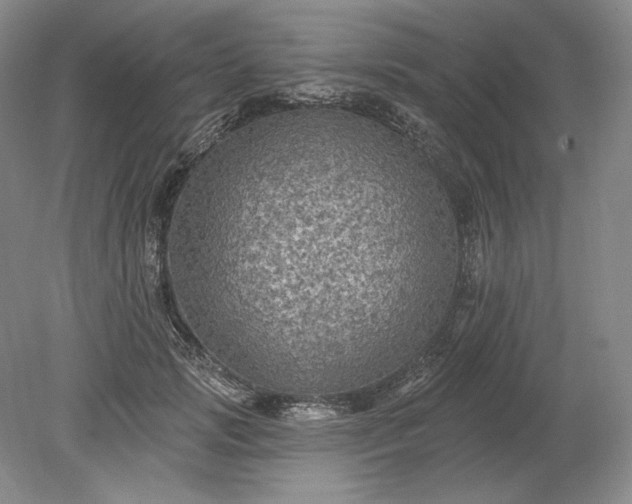 X0000079290749200612011723