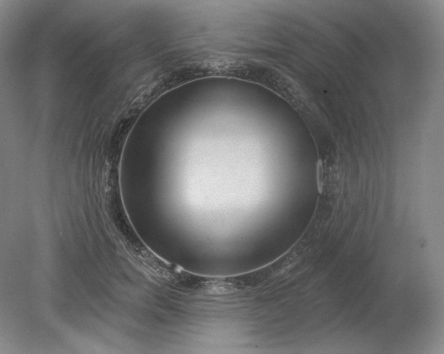 X0000079290750200612011723