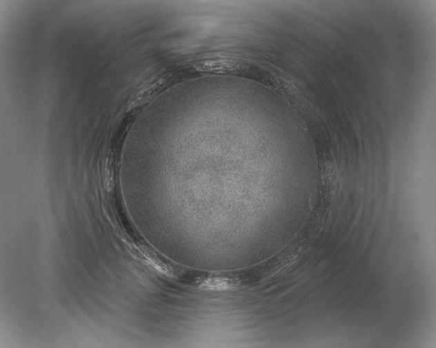 X0000079290751200612011723