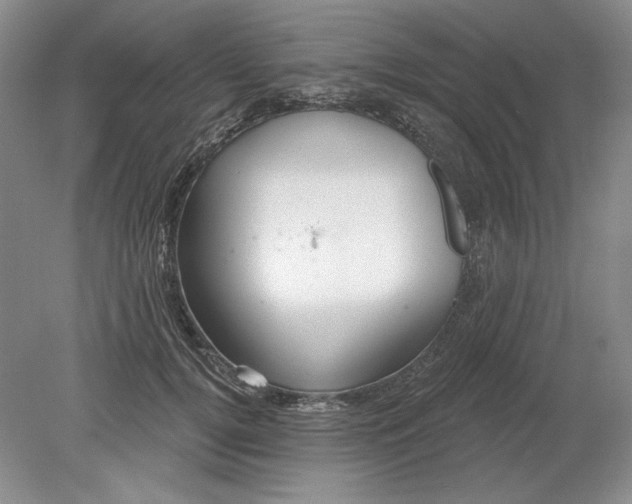 X0000079290752200612011723