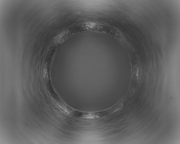 X0000079290754200612011724