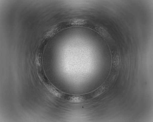 X0000079290755200612011724