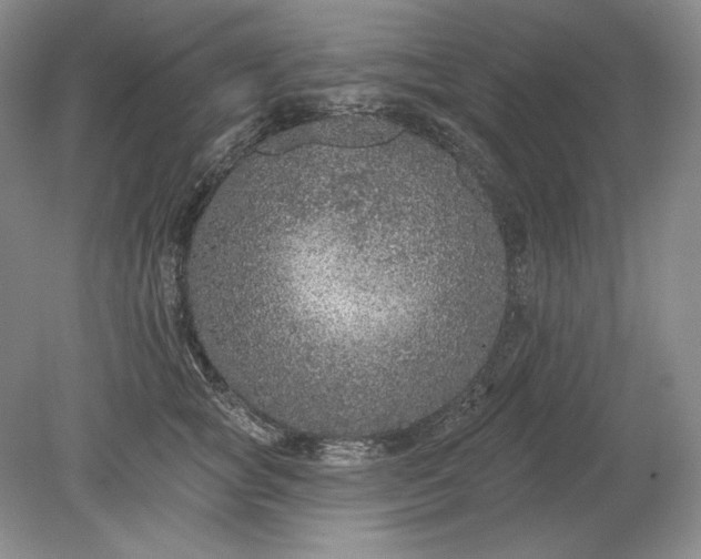 X0000079290757200612011724