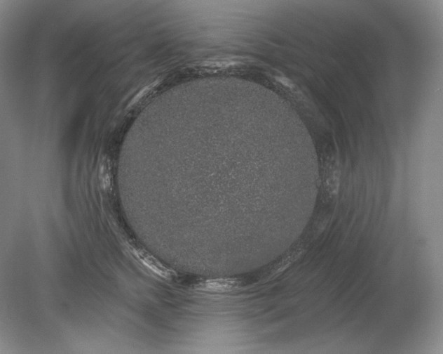 X0000079290758200612011724