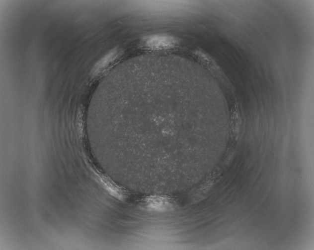 X0000079290762200612011724