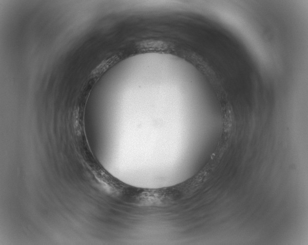 X0000079290764200612011724