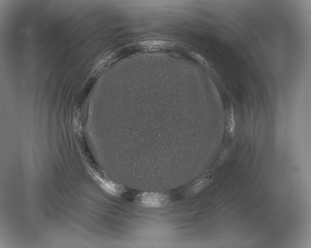 X0000079290766200612011724