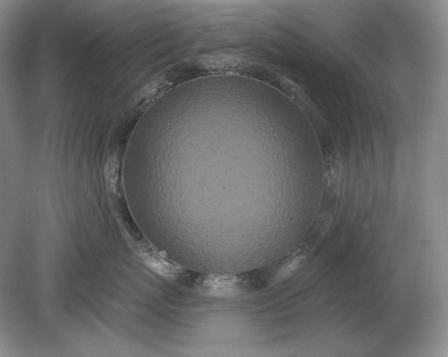 X0000079290767200612011724