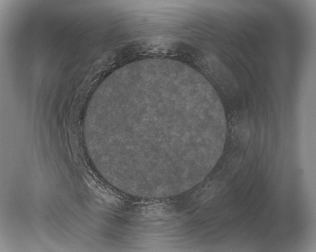 X0000079290769200612011723